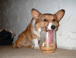 Just a guy who is better than peanut butter