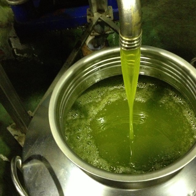 oliveroitaly's profile picture. Hi, we are two very passionate food lovers/oil makers and our one goal in life is to share our creation with the world, please support us by following us!