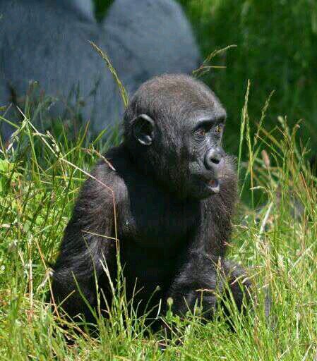 gymfeak5049's profile picture. Mother of 4, Grandma of 3, loves all paranormal x