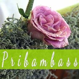 Pribambass_ru's profile picture. Интернет-магазин стильной бижутерии ручной работы