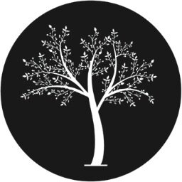 INTERNATIONAL PUBLISHING COMPANY