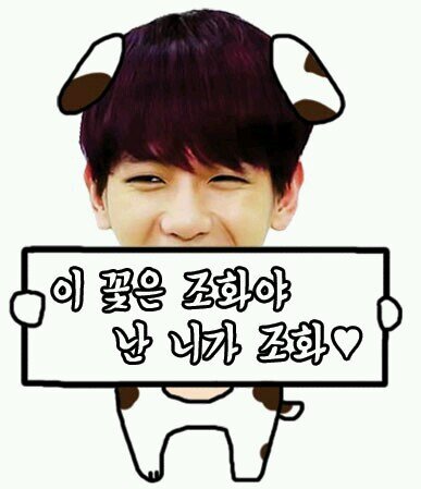 10월줌제마감! 인피니트,엑소위주 도안합니다~_~
