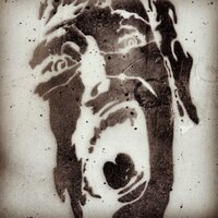steve evets (@nunzilla4ever) 's Twitter Profile