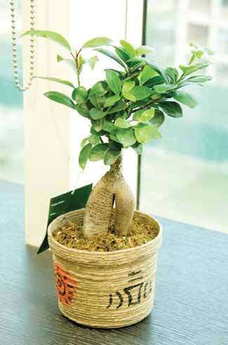 MEsellings's profile picture. Buy & Sell Tips,good news,best e-sales,cool commerce,selling goods,online business,cheapest goods,nice sell,looking goods for digital selling,promote,freebies