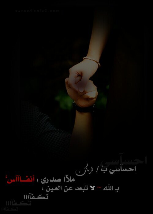 Janat_ALROH's profile picture. نقآء وحلم .. لامحدود .. ما سطرته في البعيد المحال ...!!!