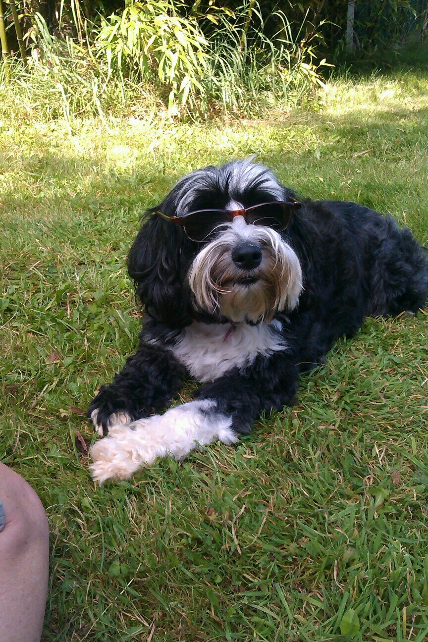 dorisbyyourside's profile picture. 