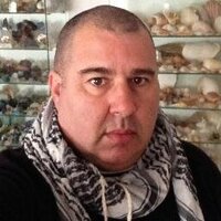 Marco Tangerino (@marcotangerino) 's Twitter Profile Photo