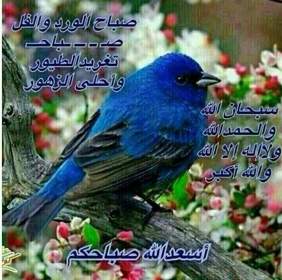 التخطيط مع الثقة أننا سنصل يوما لعالم أفضل