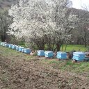 nurettin gülal (@054200000000) Twitter