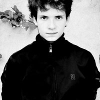 Bartłomiej Wilczek (@firewilksu) Twitter profile photo