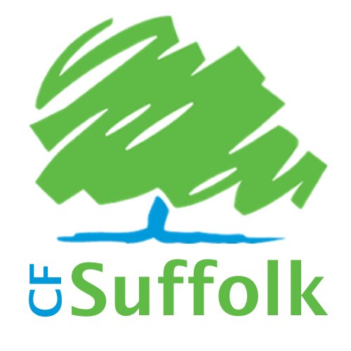 Official Twitter Account of the Conservative Future within Suffolk - the youth wing of the Conservative Party!