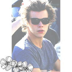 free follow from @teenszarry.