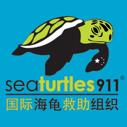 Sea turtle rescue, rehabilitation, & release. | We raise public awareness about sea turtle conservation through education and empowering locals via ecotourism.