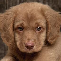 loveisperfectsm's profile picture. 