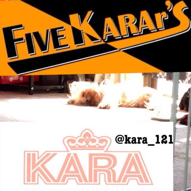 ジヨン寄りall /96line/FIVE KARAr'S No.018 いま,贈りたい言葉8.6ハイタッチ会10. 17KARASIA2012横アリ 4.14 4.15/2013 1.6東京ドーム リリイベ東京4.6ジヨンとチェキ SGC 6.23ファンミ昼.夜6.28リリイベ ニコル ハラ サイン9.14シグマ