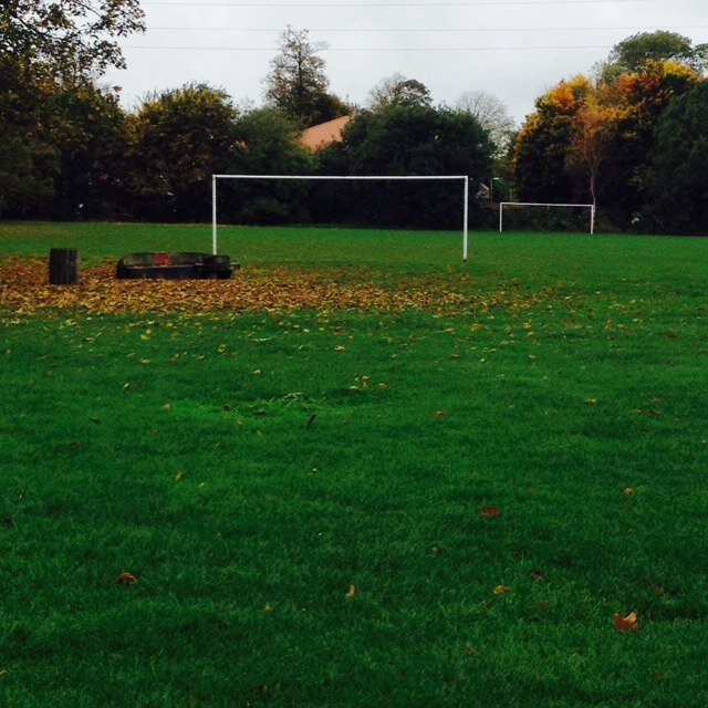 E•M•F•C Profile