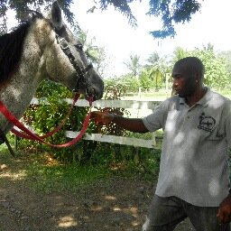 Horse riding tours / Sightseeing in Saint-Lucia, West Indies