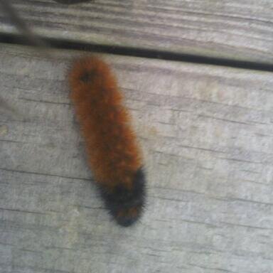 homeless5469's profile picture. advocate for homeless