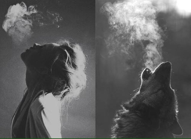 les_penses's profile picture. 