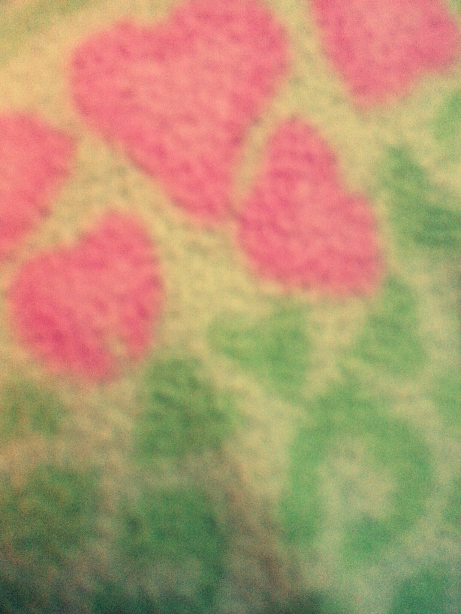 Jerlineramirez's profile picture. 