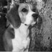 David Hale Smith (@davidhalesmith) Twitter profile photo David Hale Smith (@davidhalesmith) Twitter profile photo