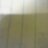 angry_bird_angr's profile image