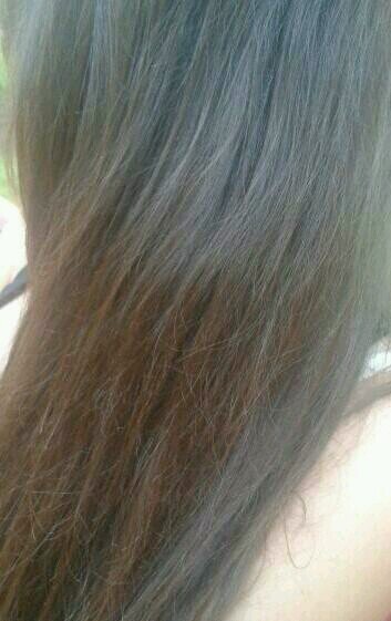 si has llegado a este twitter es por algo.