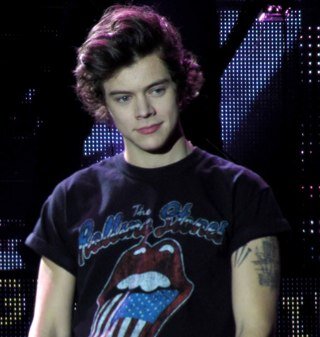 PLS FOLLOW HER @harryisfabulous SHE WANTS TO REACH 2k FOLLOWERS AS HER GOAL PLEASE TY :---)