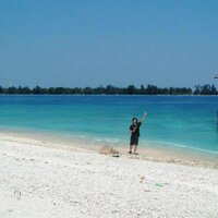 Steven Chandra (@stevench123) 's Twitter Profile