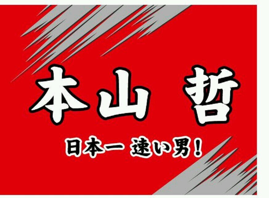 『日産が大好きです！！SGTのミニカー集めてます。良かったらフォローお願いします。