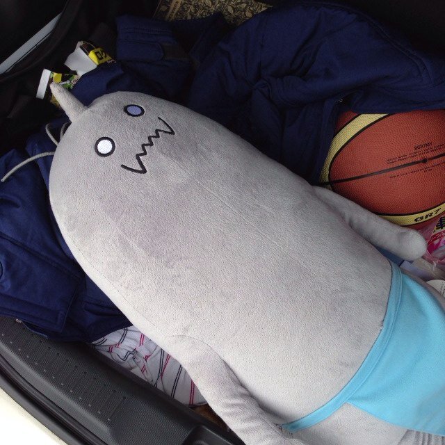 神奈川在住。のらりくらりと生きてます(´･ω･`)