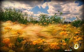 Eeee12343's profile picture. 