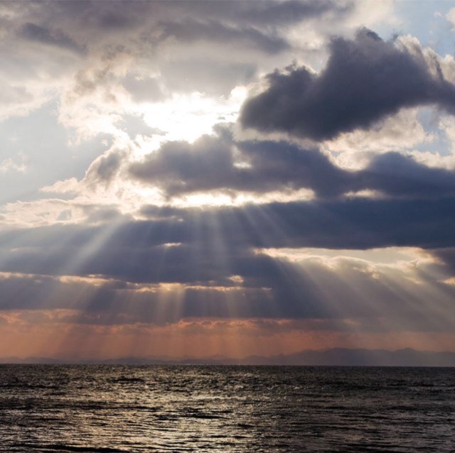 n708_1921's profile picture. 