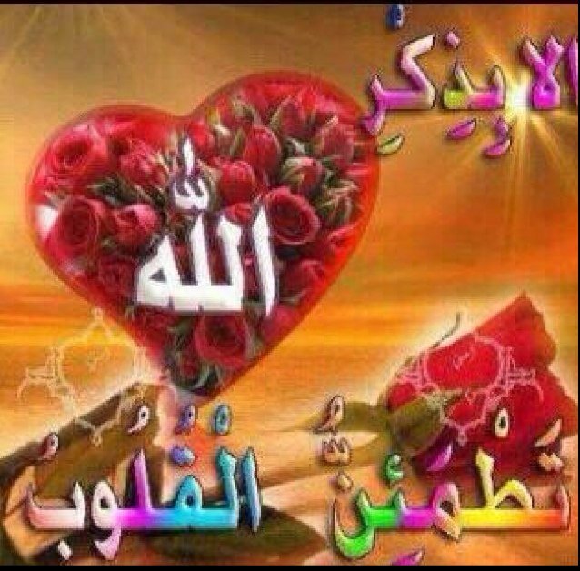 هدفي خدمه كتاب الله