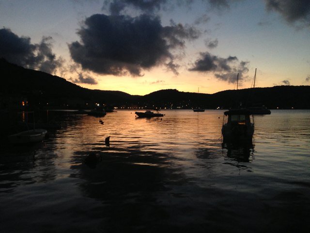 mrobo612's profile picture. 