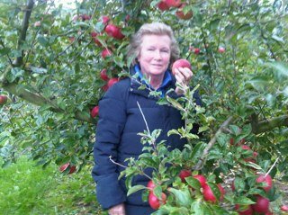 FOOD SUPPLY EXPERT. NON EXECUTIVE DIRECTOR, PARTNER IN APPLE FARM, BROADCASTER ON RETAIL AND CONSUMER ISSUES