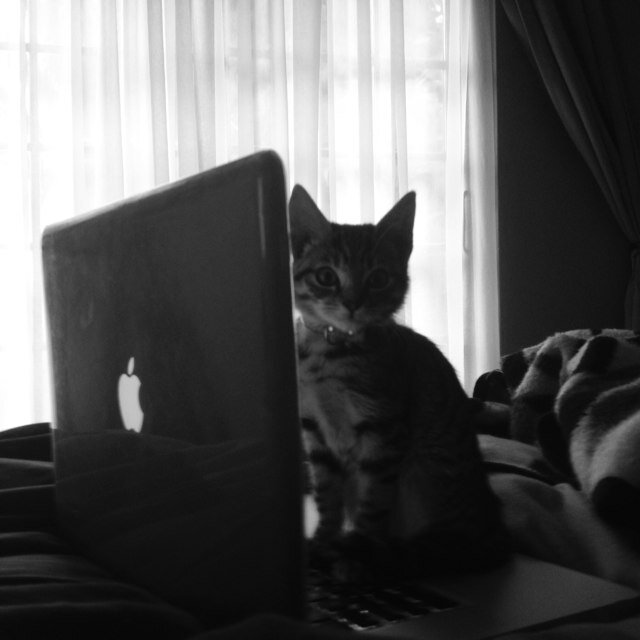 EtienneBarnardt's profile picture. 