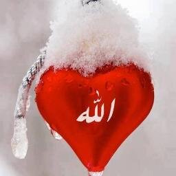 ‏اللهم ارزقنى حبك وحب من يحبك وحب عمل يقربنى الى حبك