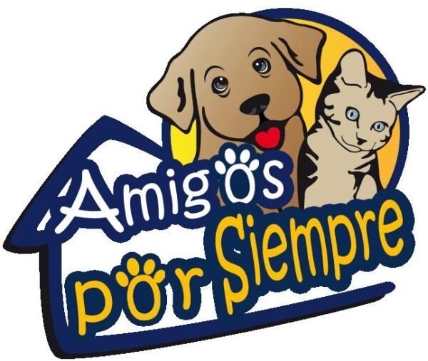 Exposición AMIGOS POR SIEMPRE
Realizada el 31 de octubre al 3 de noviembre en la terraza del Sambil, Caracas fue todo un exito!
somos #mascotas y algo mas