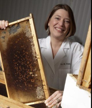 Honey bee researcher working for The National Science Foundation. Posts are my own & do not represent my employer's positions, strategies, or opinions. She/her