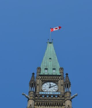 nanimcd's profile picture. 