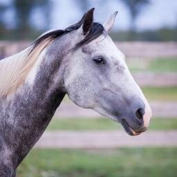 paigemsim's profile picture. 