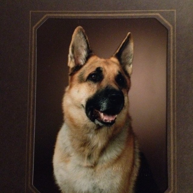 PSpringare Profile Picture