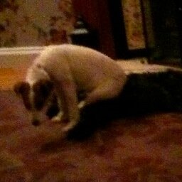 solovemybed's profile picture. has been sky-diva, amazing mummy- funny as.