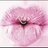 ItzuLR's profile image