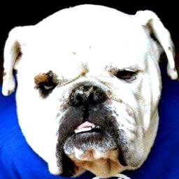 Are u smarter than the Legendary Hoops Dawg? Ask him a basketball related question and find out!?