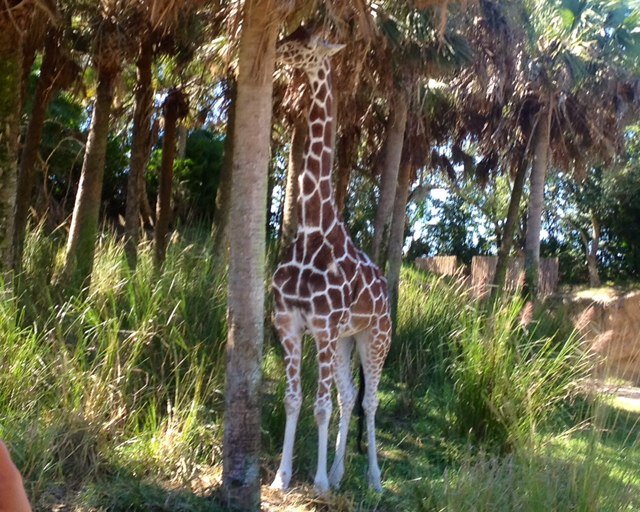 aramjbiss's profile picture. 