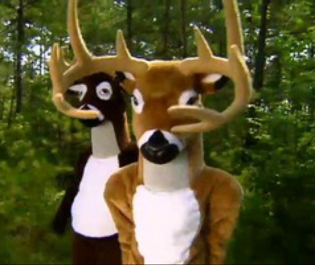 The OG Buck - Acorns, corn, and big booty does.