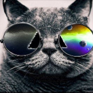 Follow me and I will Follow back