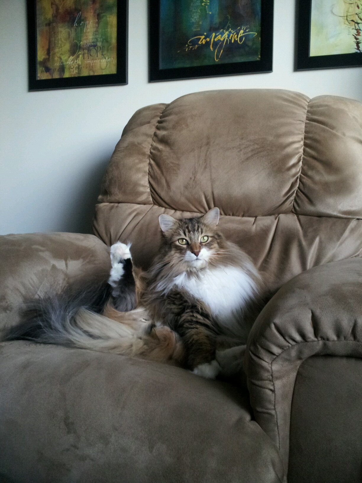 Married, owned by 2 cats